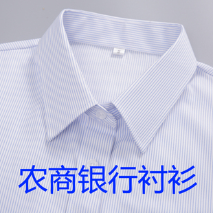农商行服男式衬衣蓝色条纹衬衫女广东信用社工作装人保长短袖