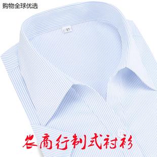 农商行女衬衫 工作服定制LOGO 白底蓝细条纹长短袖 衬衣4S店职装