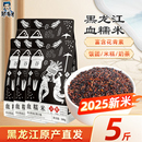 东北血糯米2025新米紫米包粽子饭团奶茶店专用黑糯米甜品杂五谷粮