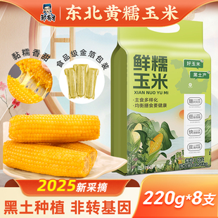 东北黄甜糯玉米棒2025年新货低脂粗粮主食粘黏苞米真空装早餐即食