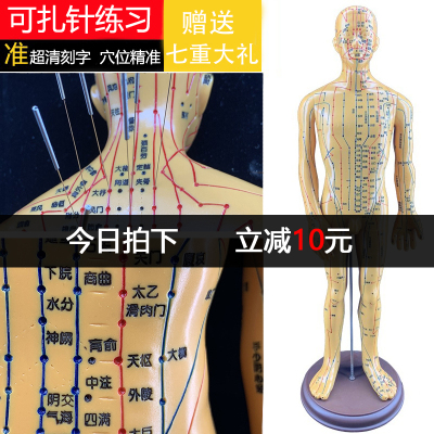 极速超清c晰刻字人体经络穴位模型全身中医针灸铜人教学男女小皮