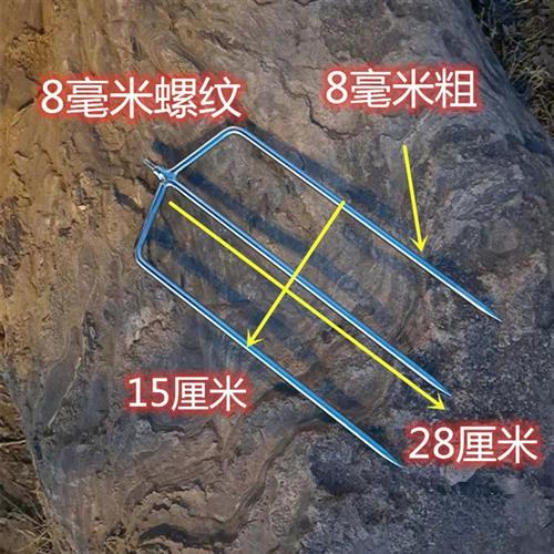 极速加宽三齿甲鱼叉不锈钢杆z甲鱼排叉探甲鱼叉套装捕甲鱼手工