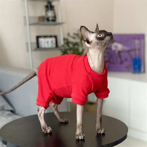 极速无毛猫衣服冬季打q底德绒阳离子四脚手感柔软斯芬克斯秋冬猫