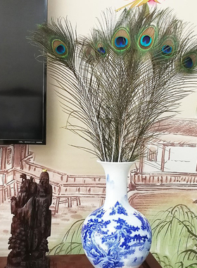 极速孔雀羽毛f摆件客厅装饰花瓶花束插花蓝色摆件墙饰插瓶孔雀毛