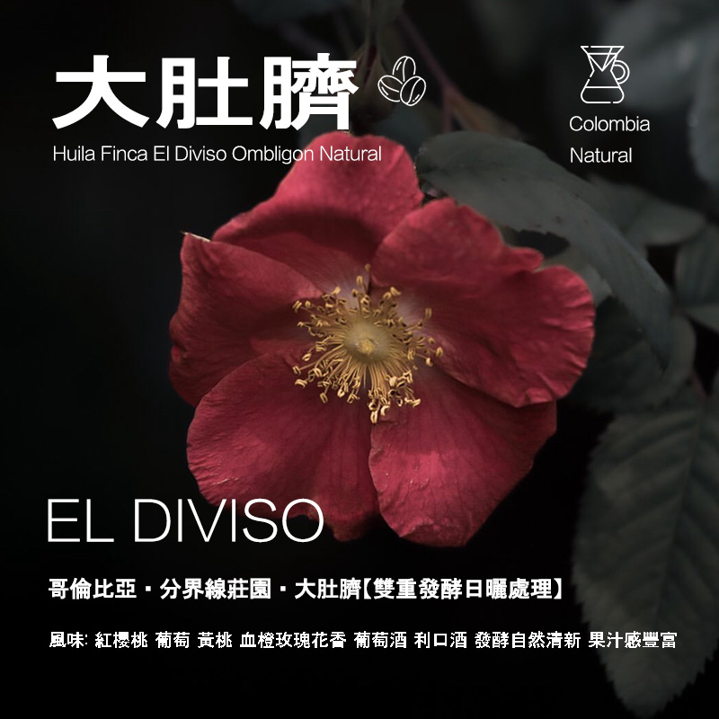 大肚脐咖啡豆哥伦比亚分界线庄园