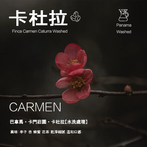 卡杜拉水洗咖啡豆巴拿马卡门庄园