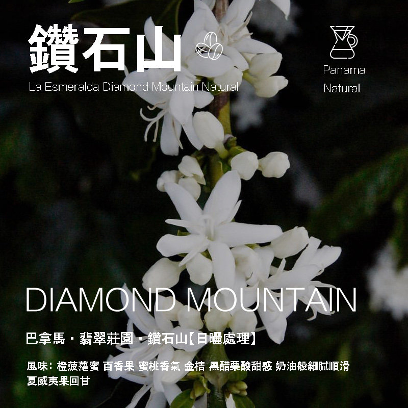 巴拿马翡翠庄园日晒手冲咖啡豆
