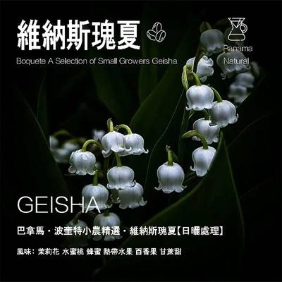 巴拿马波奎特小农精选咖啡豆