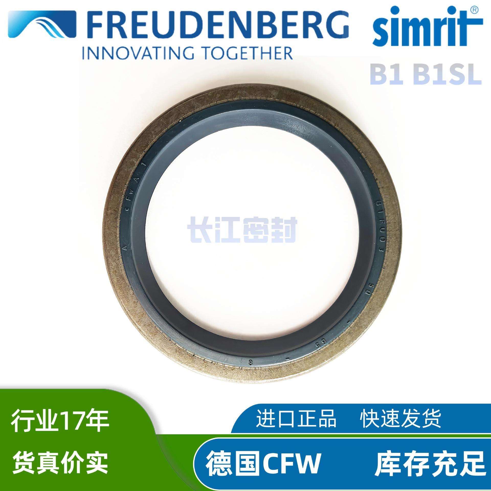 B1FUDSL 65-80-8 6-16-7 德国SIMRIT cfw进口骨架油封 外铁壳