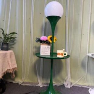 新颖盘子中间穿灯休闲原素轻奢大灯泡高光北欧创意桌子落地灯一体