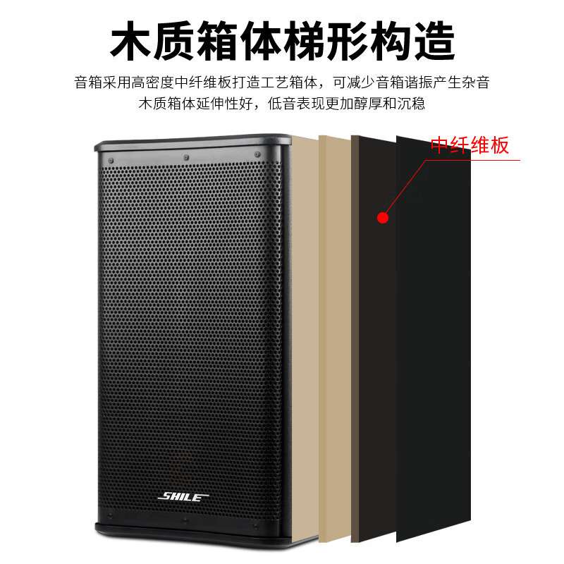 狮乐 10英寸会议室专业音响BX-110 专业对箱木质无源音箱一对