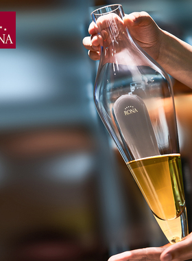 捷克进口双耳陶罐AMPHORA葡萄酒手工醒酒器快速冰酒侍酒师分酒器