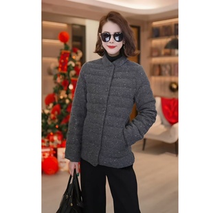 「艾薇严选」加厚保暖户外立领鹅绒25AW0239