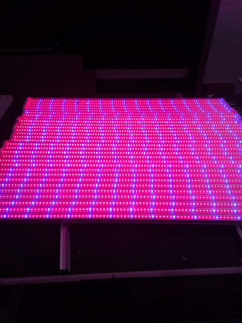 5红1蓝植物生长灯 红m660nm蓝460nm led植物生长灯 led植物组培灯