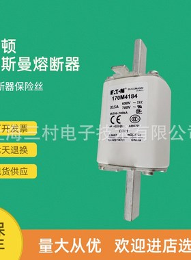 全新原装现货快速熔断器保险丝断路器170M4316 170M4317 170M4318