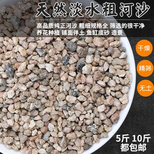 新款天然粗河沙粗砂多肉铺面石配土细沙子颗粒种植养Y花用鱼缸造