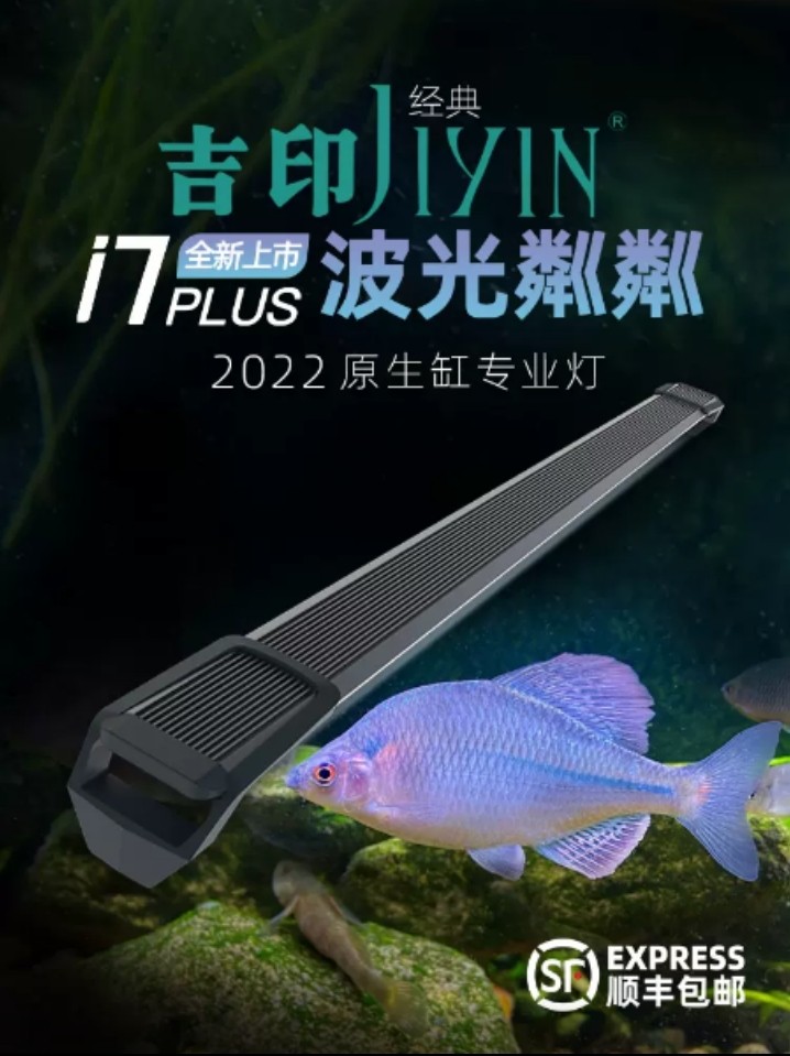 吉印原生慈鲷专用爆藻灯