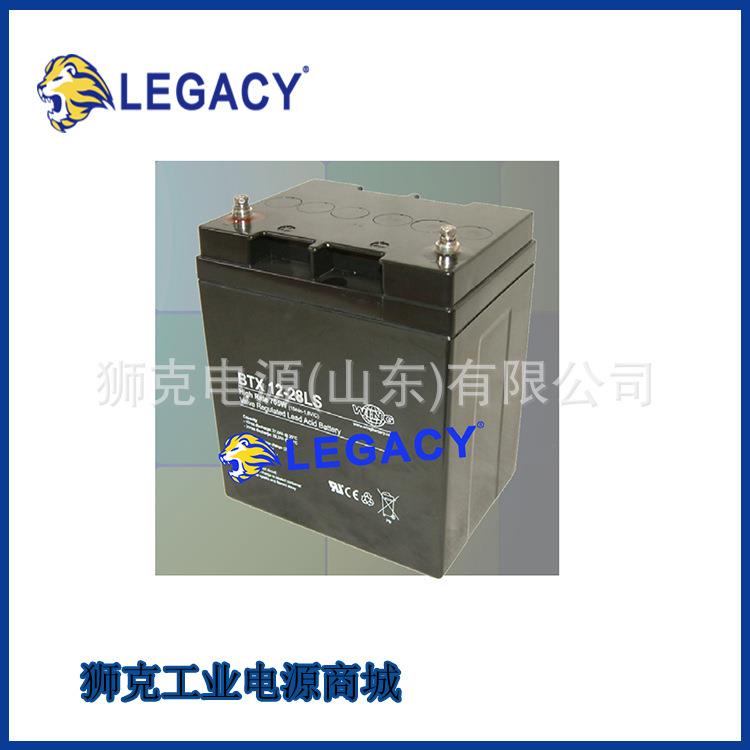 德国WING蓄电池BTX45-12LS规格参数12V4H机房仪器不间断电源