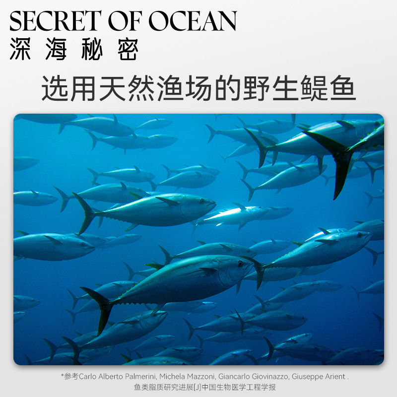 猫咪鱼油英短布偶金毛掉毛狗狗用