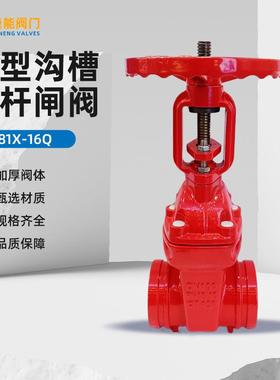 重型沟槽明杆开关闸阀Z81X-16Q手动电动电磁DN50法兰式耐磨