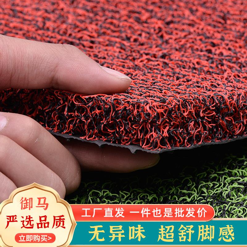 进门地垫入户门大门门口丝圈蹭脚垫子踩地毯家用防滑入门入户门垫