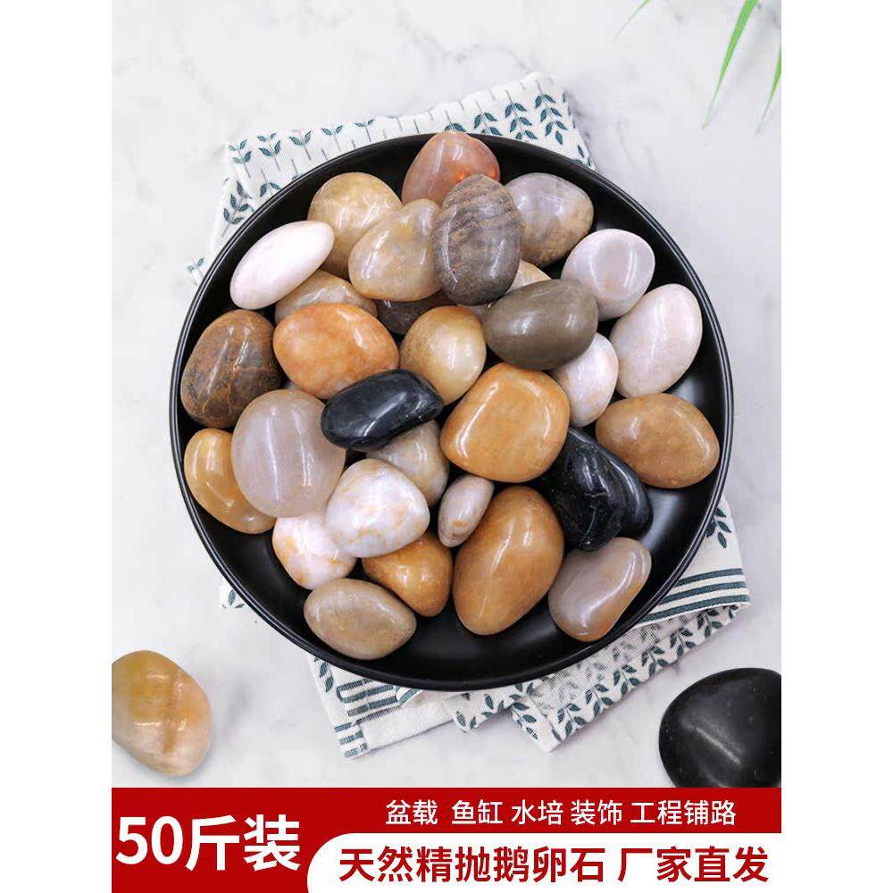 50斤鹅卵石铺路铺地庭院石子园林造景天然石头雨花石原石大鹅暖石