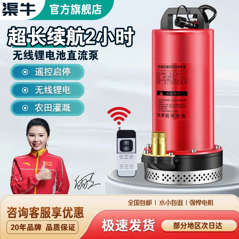无线轻便长续航多用途抽浇泵
