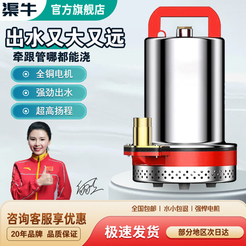 9999+人已买电动车潜水泵TOP榜