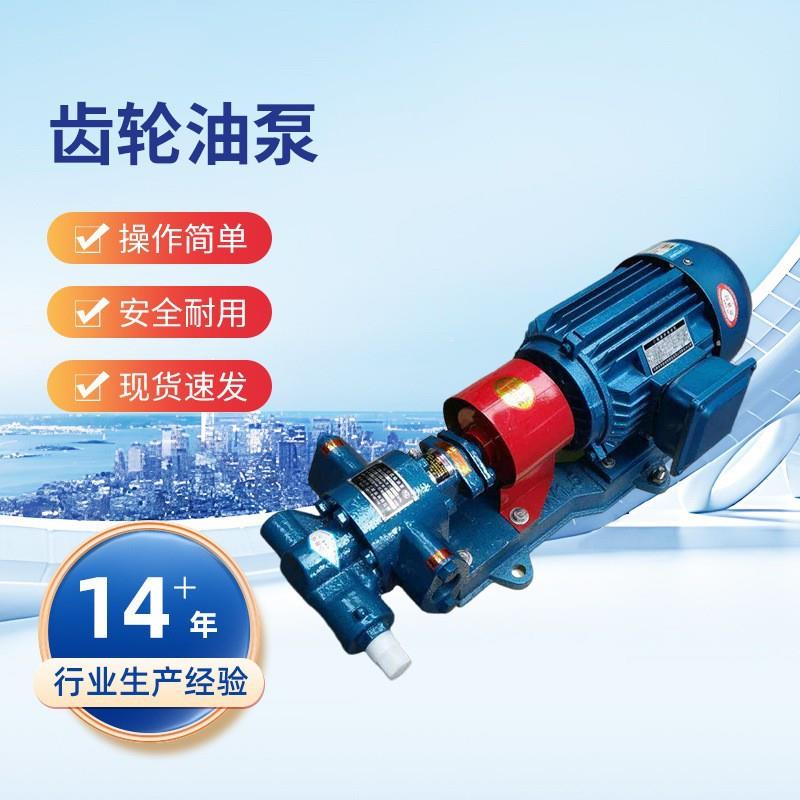 路涛KCB-33.3齿轮油泵2CY-2/1.45齿轮式输油泵不锈钢防爆齿轮泵