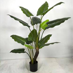 北欧风客厅仿真绿植龟背竹帝王树小盆栽假绿植摆件装饰假花仿真花