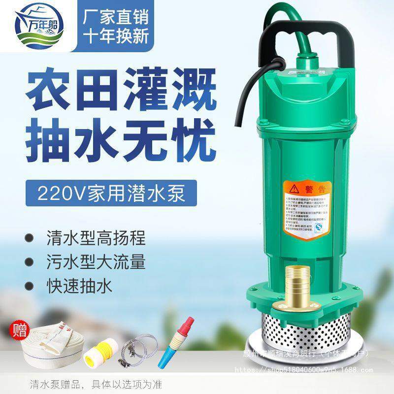 家用潜水泵220V高扬程农用抽水机清水污水泵小型灌溉泵抽水泵水井