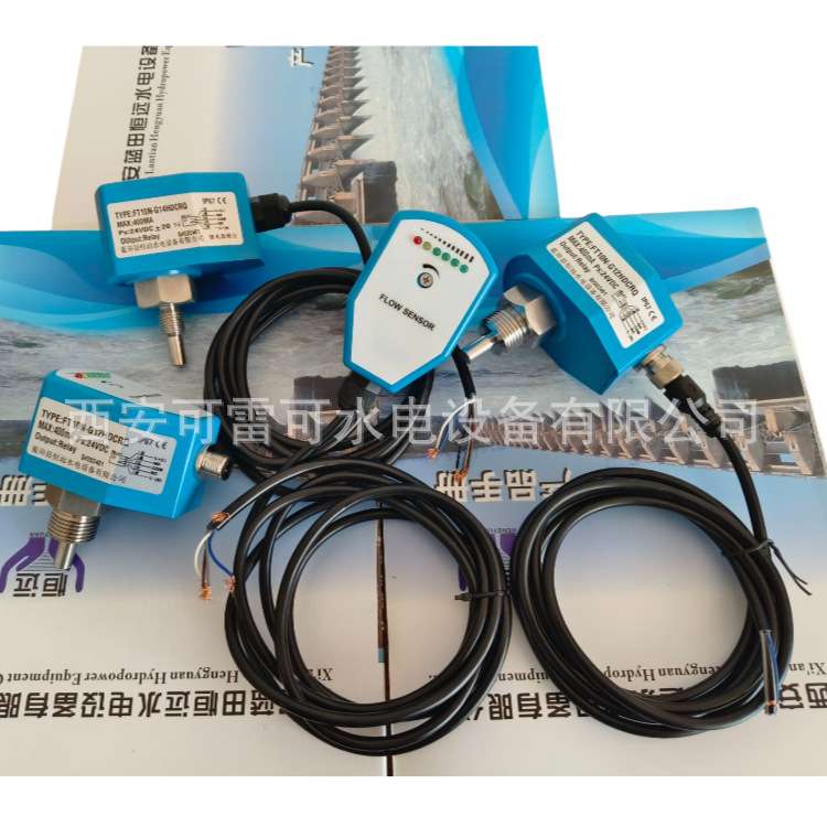 主轴密封流量计FT10N-G12HDCRQ流量开关 流量控制器FT10N