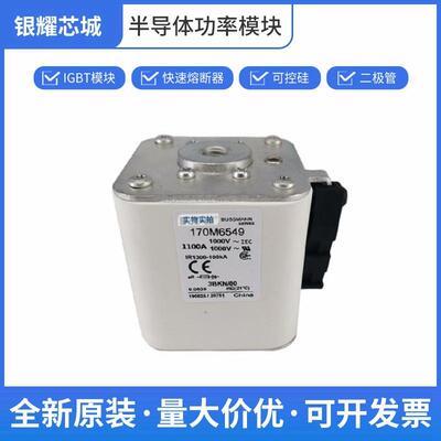 170M6549直流快速熔断器保险丝高压熔断器熔芯巴斯曼闪发