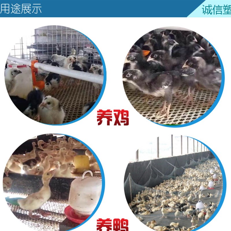 极速鸡用漏粪板 鸭鹅用禽用加厚塑料漏粪网 养鸡设备鸡.舍地板养