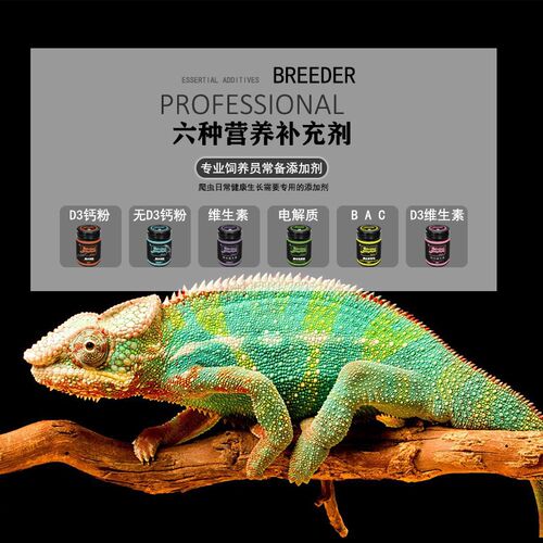 极速RS爬虫钙粉豹纹守宫蜥蜴陆龟补钙维生素Jd3电解质BAC开食维他