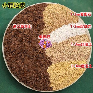 极速块根类植物专用土龟甲龙x象牙宫龙舌兰麒麟大戟科通用颗粒土