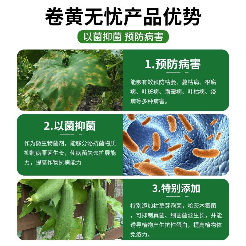 极速丝瓜病药除虫黄瓜黄斑病药黄叶病霜霉病靶V斑病拉直增产药
