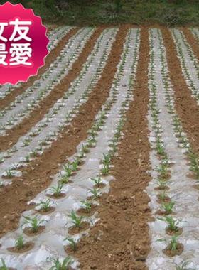 极速厂促新白色黑色塑料膜农用透明塑料布z塑N料薄膜地膜中膜e加