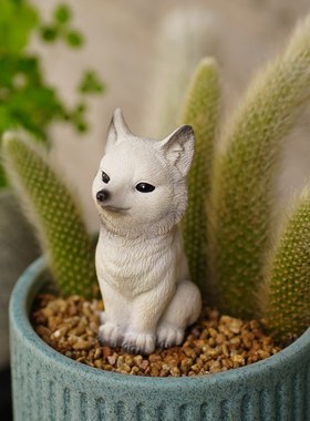 极速九尾狐狸多肉花盆景装饰摆饰C户外微景观猴尾柱造景白色小狐