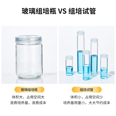 极速玻璃组d培试管透气盖耐高温无菌菌种瓶初代植物组织培养基琼