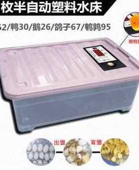 极速爆品新款新新能水床孵化机家用型E鸡鸭鹅孵化器44枚小型90枚T