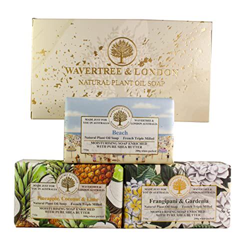 极速Bath Soap Bars (3) in Gift Box (BeIach  Pineapple  Cocon