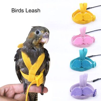 极速New Parrot Harnness and Leash Set Adjustable Outdoor Fly