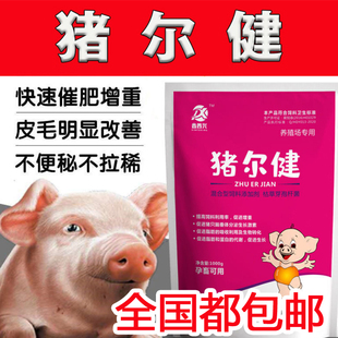 极速添加剂猪饲料猪催肥剂猪育肥增重饲料曙睹光U华牧猪儿健增长