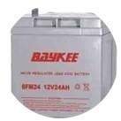 柏克BAYKEE蓄电池6FM17 12V17AH铅酸电瓶