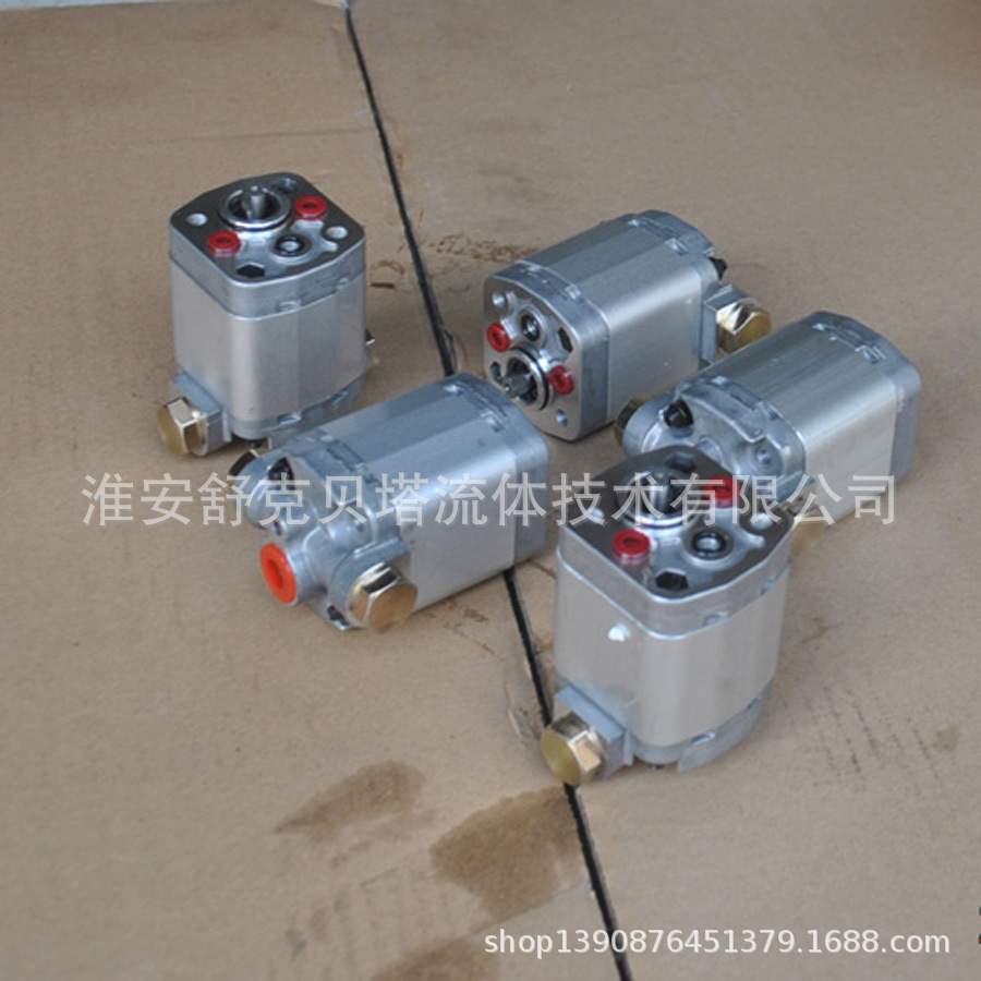 BKP0.5B5R1.50GOLO-VQ2双向液压齿轮泵