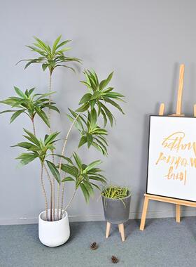 新款仿真巴西铁红色绿色朱蕉假花家居装饰软装工程样板间落地植物