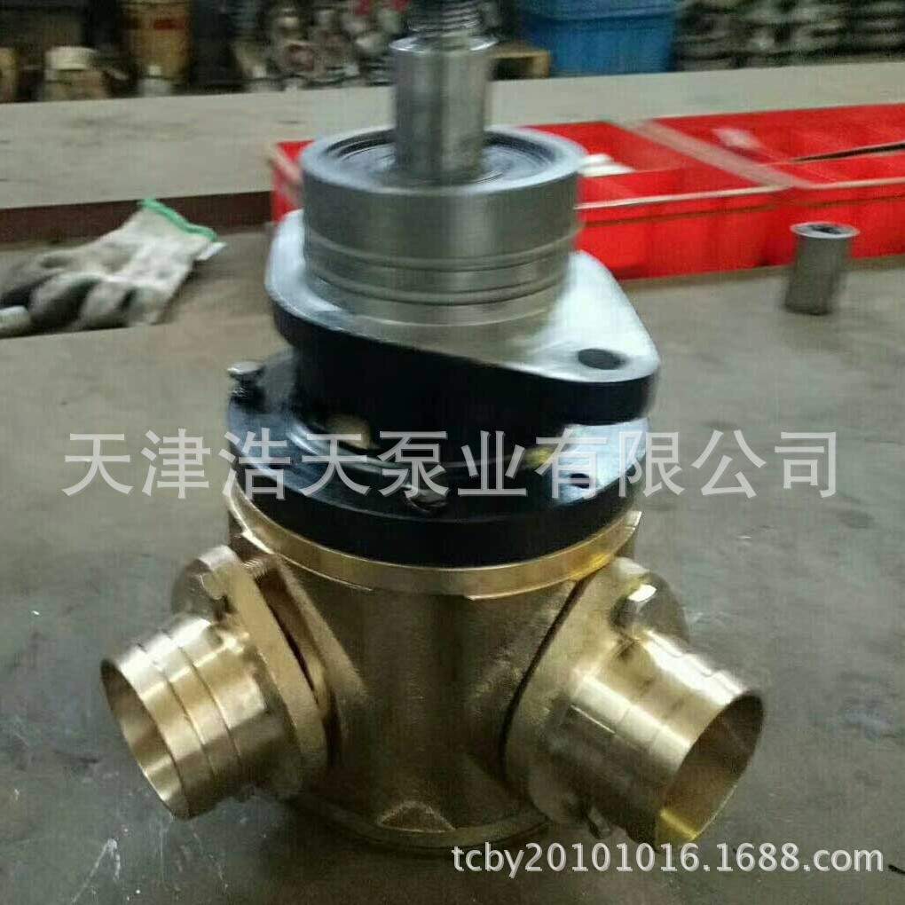 磁力挠性泵TDCN 磁力密封挠性泵 磁力橡胶叶轮泵 橡胶叶轮磁力泵
