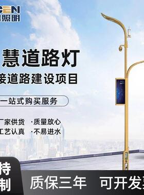 新农村建设智慧路灯双臂多杆合一综合杆多功能wifi显示屏智慧路灯