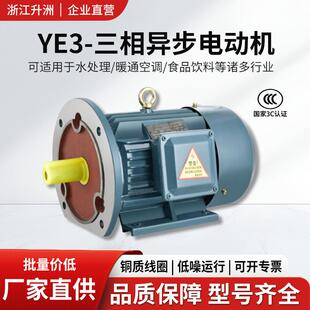 水泵风机三相电机机床配件YE3三相异步交流电动机7.5w6极